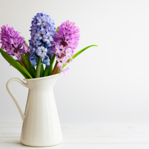 Stoves Dining Mothers Day